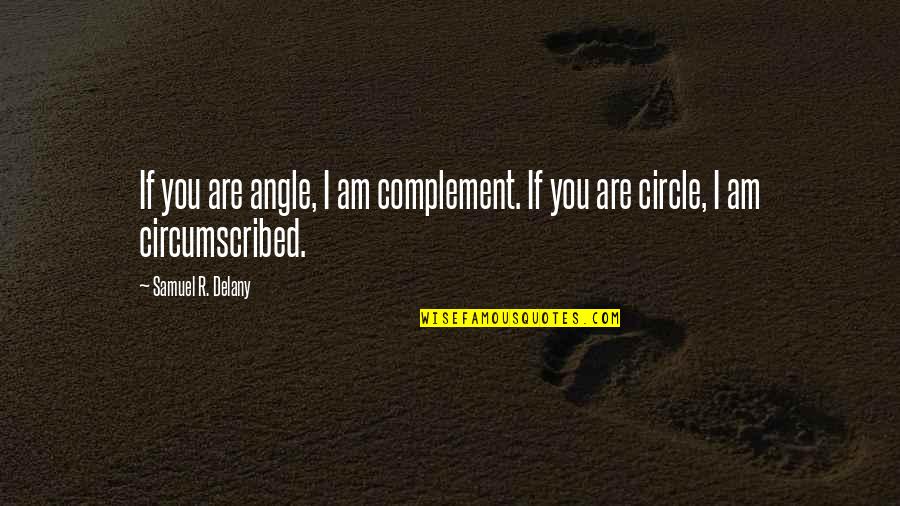 Karamehmet Quotes By Samuel R. Delany: If you are angle, I am complement. If