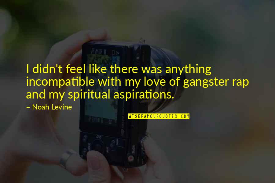 Karams Garlic Sauce Quotes By Noah Levine: I didn't feel like there was anything incompatible Karams Garlic Sauce Quotes By Noah Levine: I didn't feel like there was anything incompatible