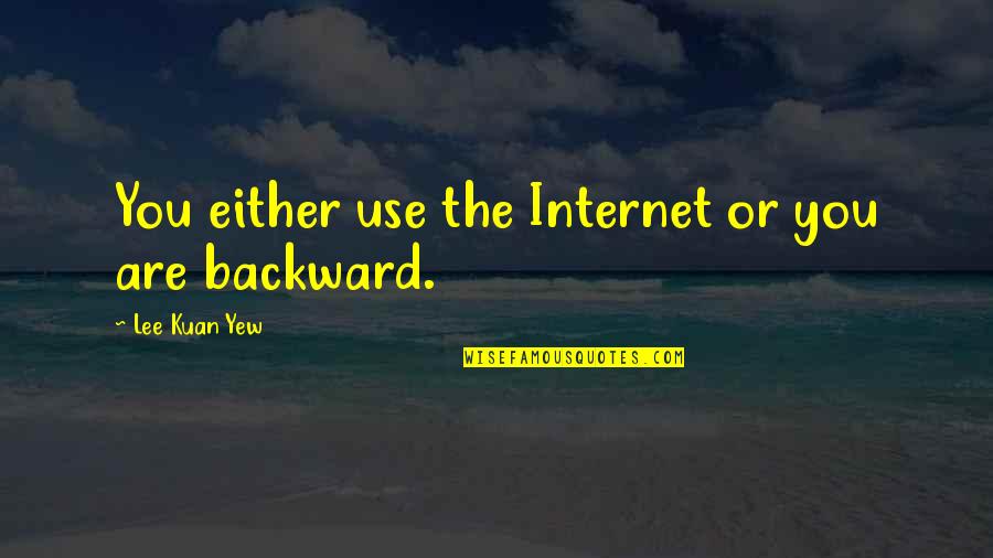 Karamzin Quotes By Lee Kuan Yew: You either use the Internet or you are Karamzin Quotes By Lee Kuan Yew: You either use the Internet or you are
