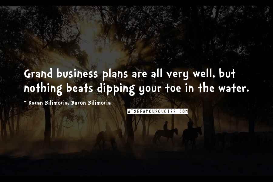 Karan Bilimoria, Baron Bilimoria quotes: Grand business plans are all very well, but nothing beats dipping your toe in the water.