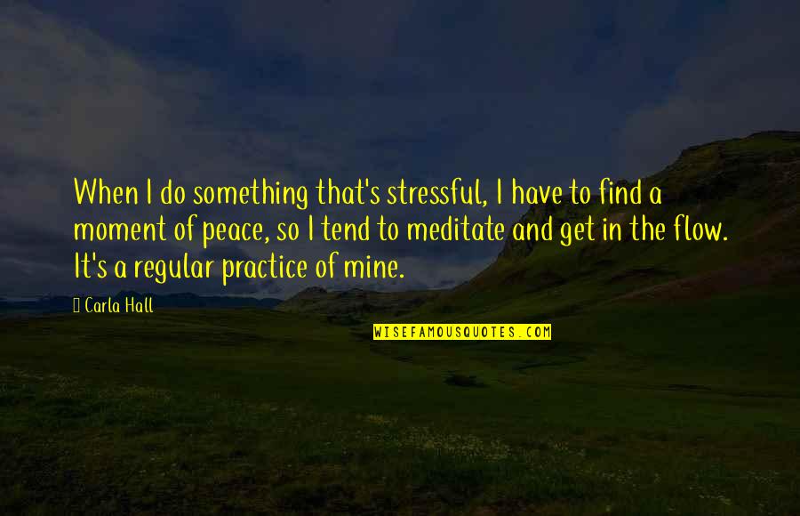 Karate Kid 2010 Inspirational Quotes By Carla Hall: When I do something that's stressful, I have