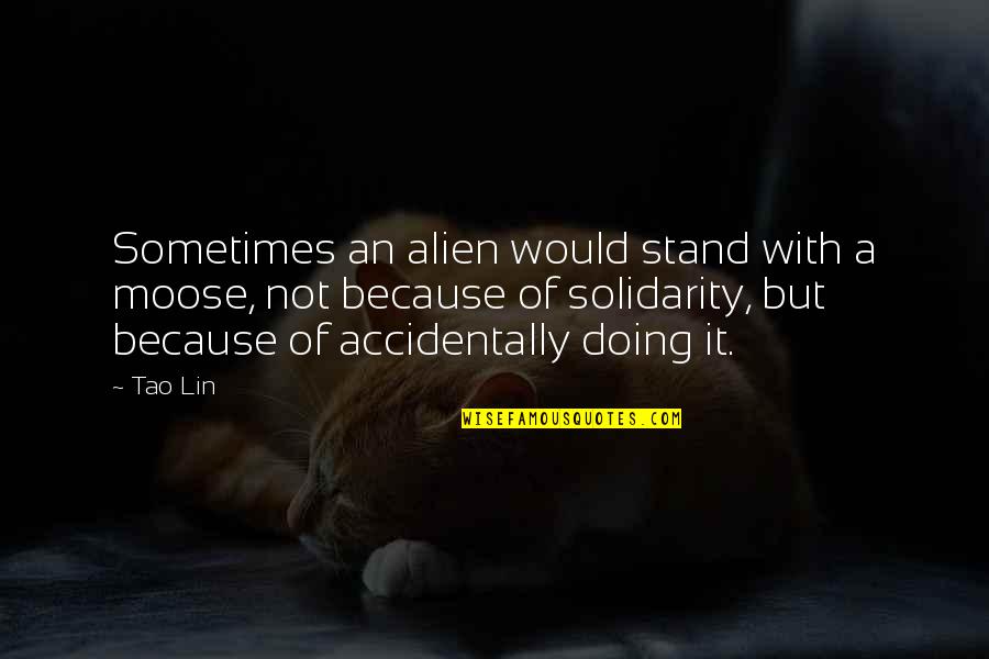 Karausche Quotes By Tao Lin: Sometimes an alien would stand with a moose,