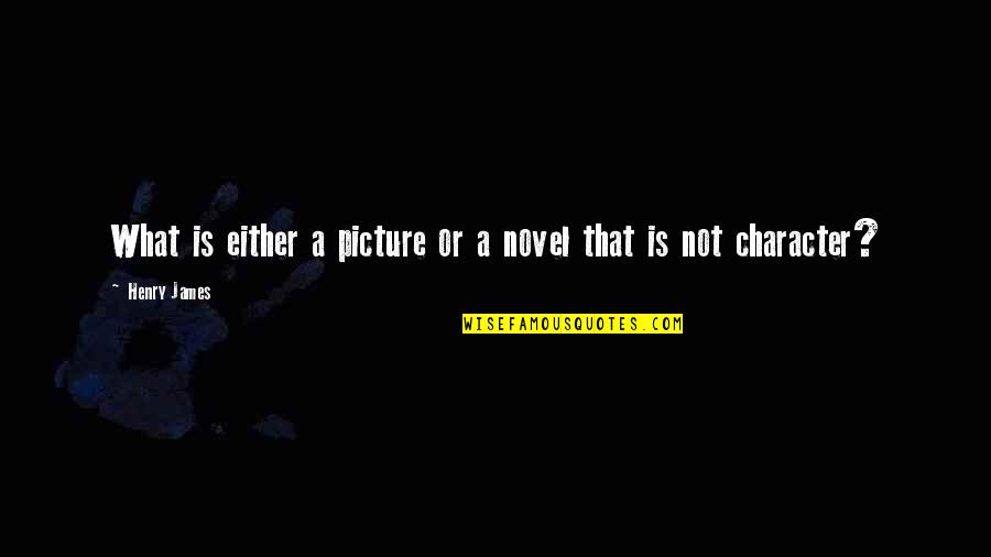 Karavasilis Nikaia Quotes By Henry James: What is either a picture or a novel
