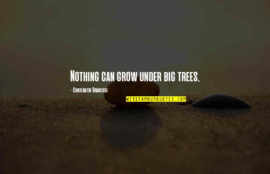 Kardees151 Quotes By Constantin Brancusi: Nothing can grow under big trees. Kardees151 Quotes By Constantin Brancusi: Nothing can grow under big trees.
