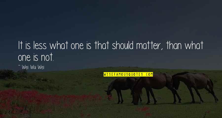 Karegan Quotes By Wei Wu Wei: It is less what one is that should