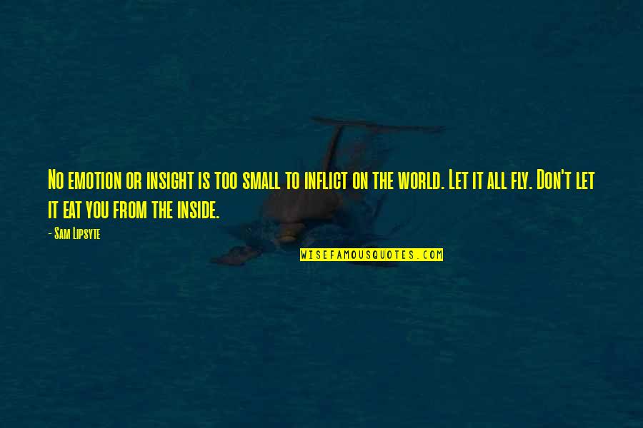Kareivis Quotes By Sam Lipsyte: No emotion or insight is too small to Kareivis Quotes By Sam Lipsyte: No emotion or insight is too small to