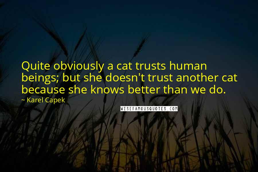 Karel Capek quotes: Quite obviously a cat trusts human beings; but she doesn't trust another cat because she knows better than we do.