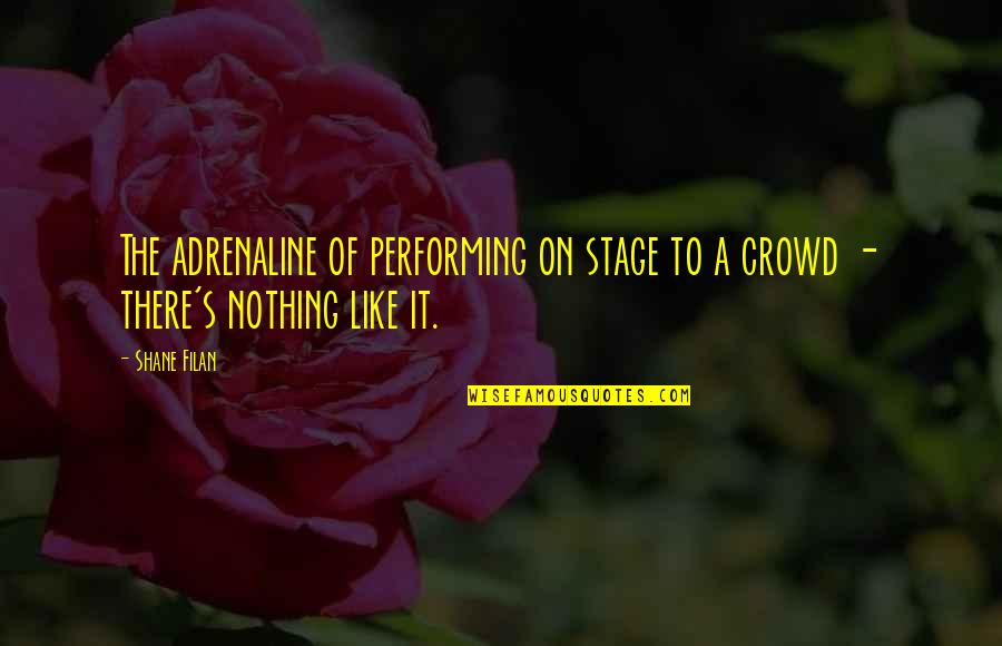 Kargalar Ne Quotes By Shane Filan: The adrenaline of performing on stage to a
