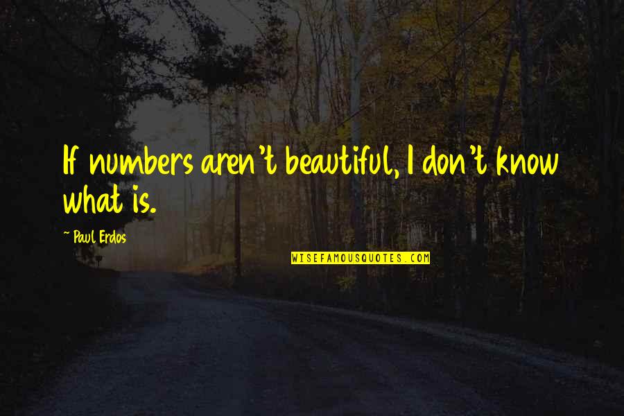 Karim Benzema Quotes By Paul Erdos: If numbers aren't beautiful, I don't know what