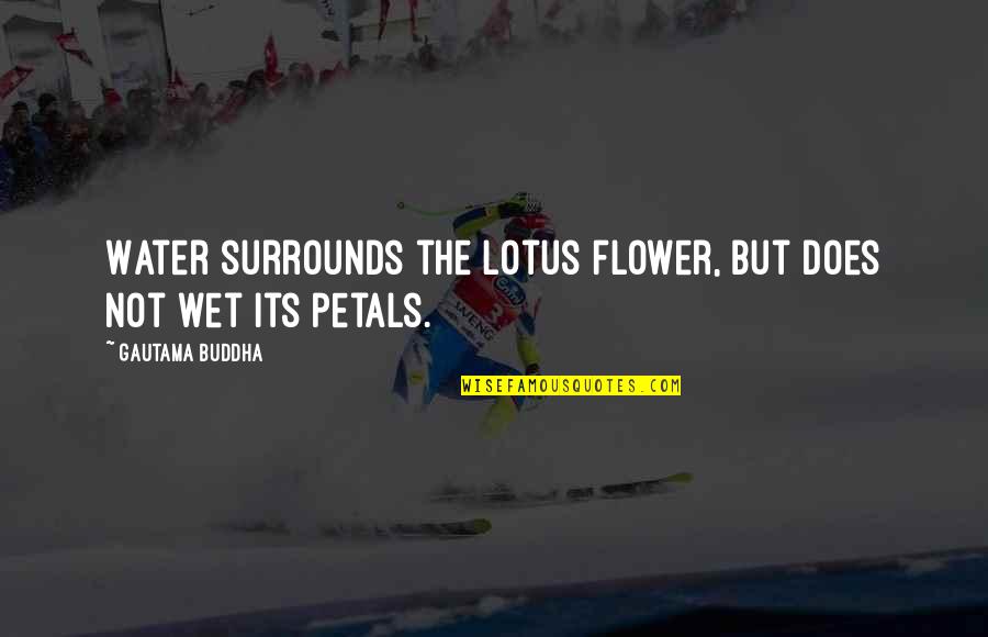 Karins Kottage Quotes By Gautama Buddha: Water surrounds the lotus flower, but does not Karins Kottage Quotes By Gautama Buddha: Water surrounds the lotus flower, but does not