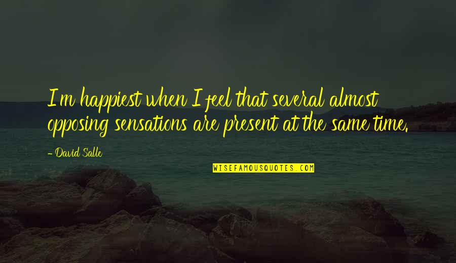 Karisma Quotes By David Salle: I'm happiest when I feel that several almost