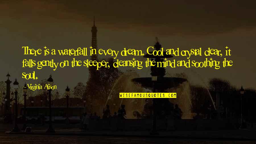 Karl Frederick Nra Quotes By Virginia Alison: There is a waterfall in every dream. Cool Karl Frederick Nra Quotes By Virginia Alison: There is a waterfall in every dream. Cool