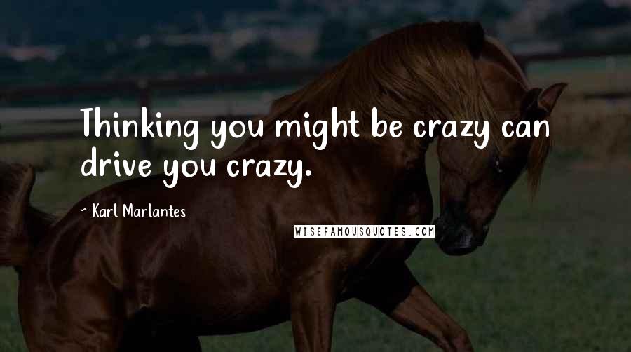 Karl Marlantes quotes: Thinking you might be crazy can drive you crazy.