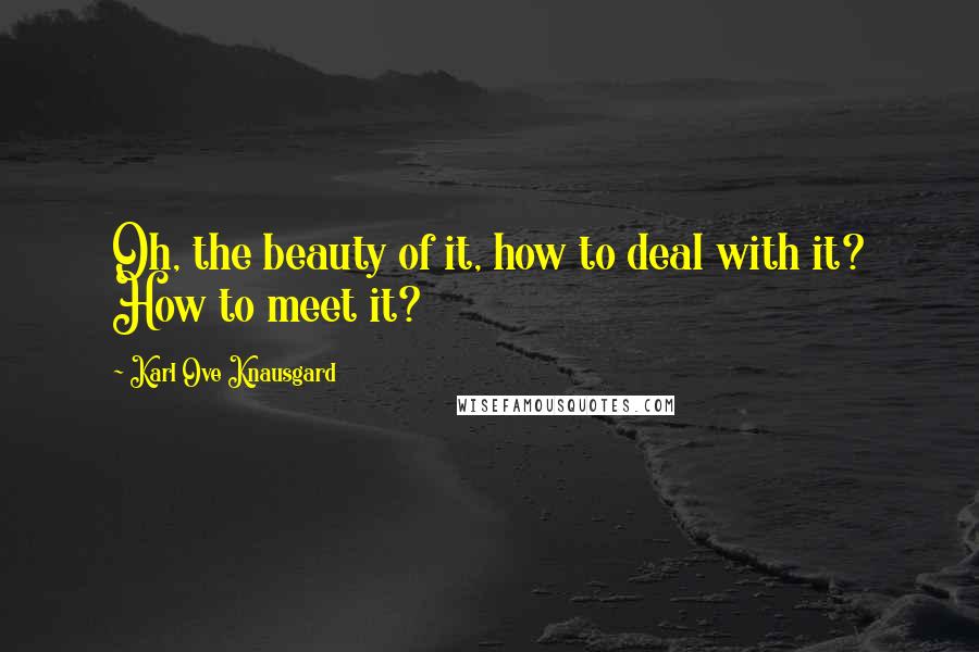 Karl Ove Knausgard quotes: Oh, the beauty of it, how to deal with it? How to meet it?