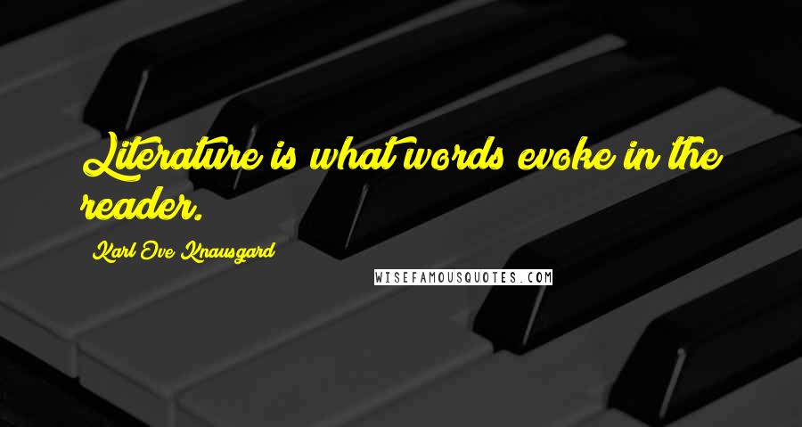 Karl Ove Knausgard quotes: Literature is what words evoke in the reader.
