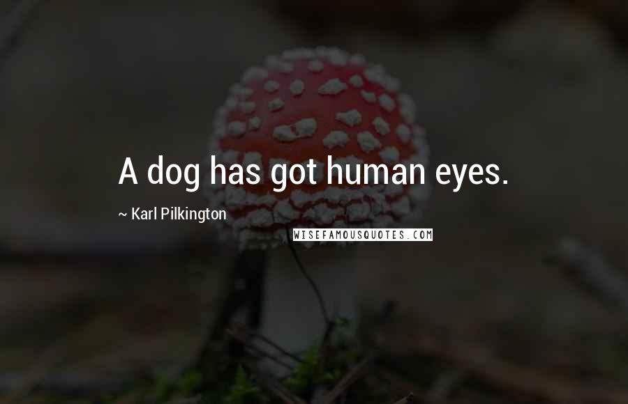 Karl Pilkington quotes: A dog has got human eyes.