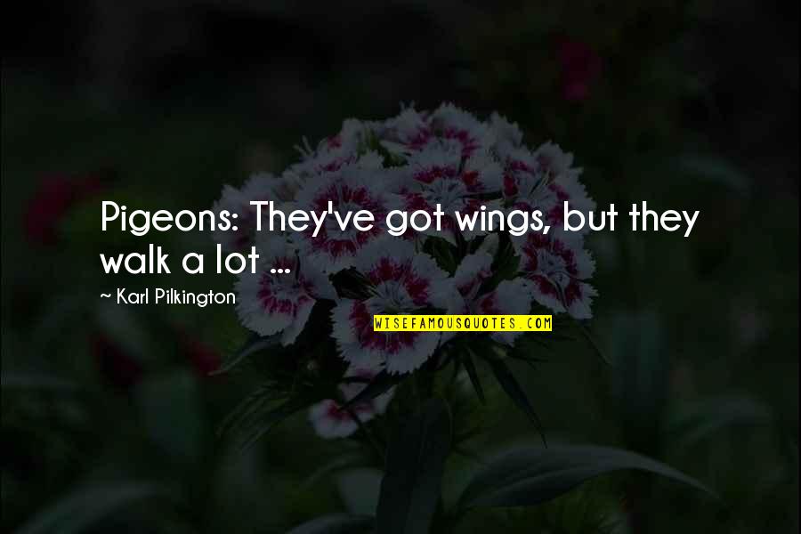 Karl Quotes By Karl Pilkington: Pigeons: They've got wings, but they walk a Karl Quotes By Karl Pilkington: Pigeons: They've got wings, but they walk a