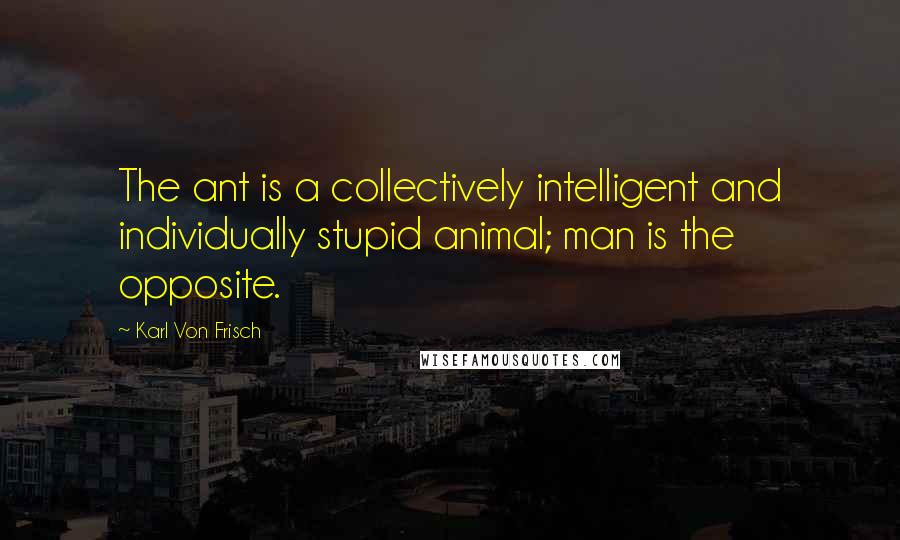 Karl Von Frisch quotes: The ant is a collectively intelligent and individually stupid animal; man is the opposite.