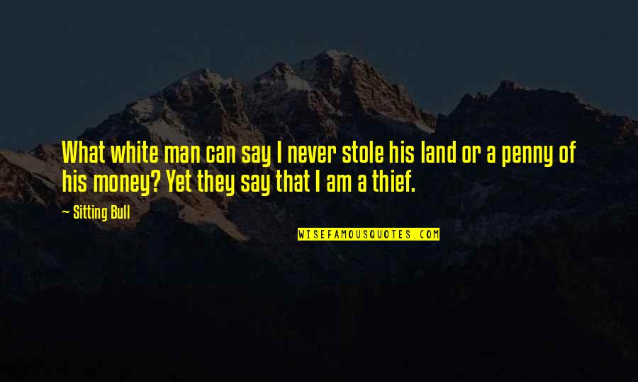 Karma Got Me Back Quotes By Sitting Bull: What white man can say I never stole