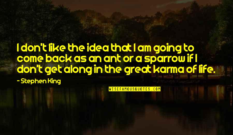 Karma In Life Quotes By Stephen King: I don't like the idea that I am