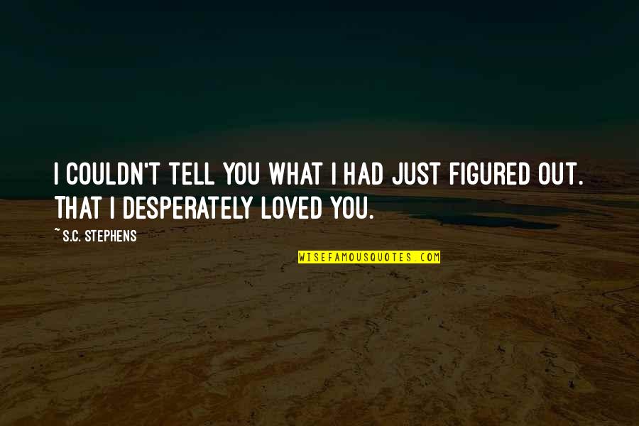 Karmichaels Cabinetry Quotes By S.C. Stephens: I couldn't tell you what I had just