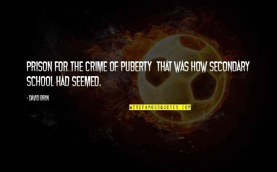 Karnopp Quotes By David Brin: Prison for the crime of puberty that was