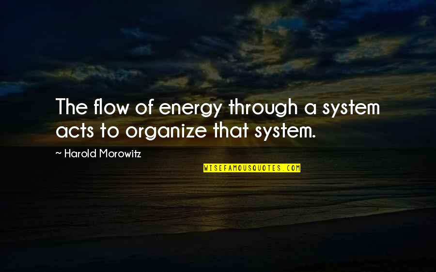 Karolien Debecker Quotes By Harold Morowitz: The flow of energy through a system acts Karolien Debecker Quotes By Harold Morowitz: The flow of energy through a system acts