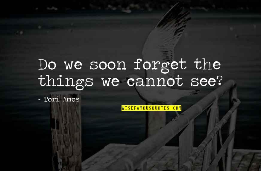 Karolien Verstraeten Quotes By Tori Amos: Do we soon forget the things we cannot Karolien Verstraeten Quotes By Tori Amos: Do we soon forget the things we cannot