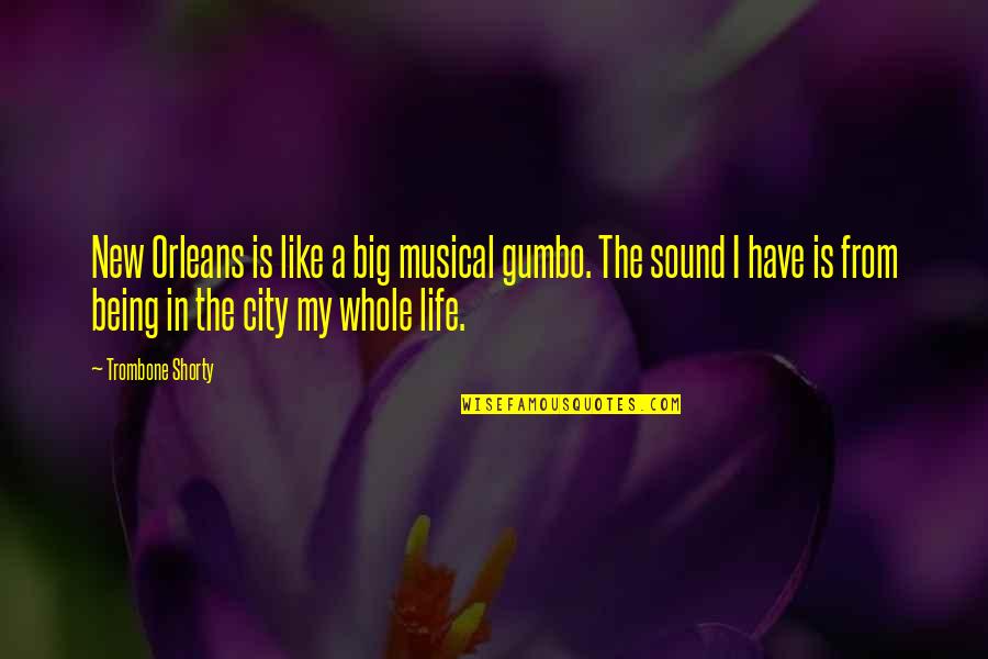 Karolys Tackle Quotes By Trombone Shorty: New Orleans is like a big musical gumbo.