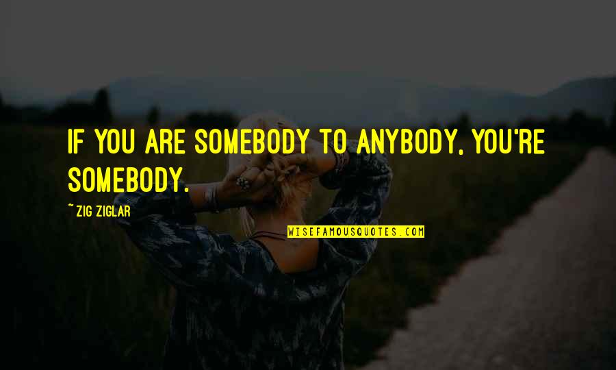 Karpenko Monroe Quotes By Zig Ziglar: If you are somebody to anybody, you're somebody.