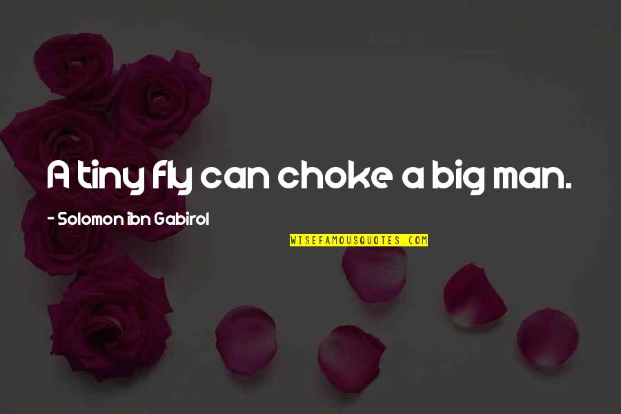 Karrass Quotes By Solomon Ibn Gabirol: A tiny fly can choke a big man. Karrass Quotes By Solomon Ibn Gabirol: A tiny fly can choke a big man.