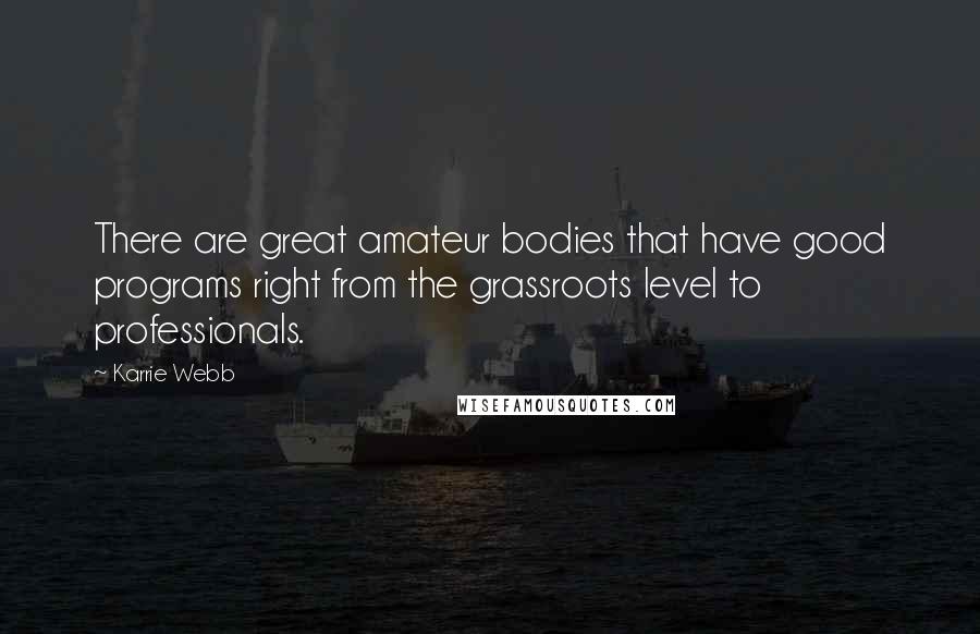 Karrie Webb quotes: There are great amateur bodies that have good programs right from the grassroots level to professionals.