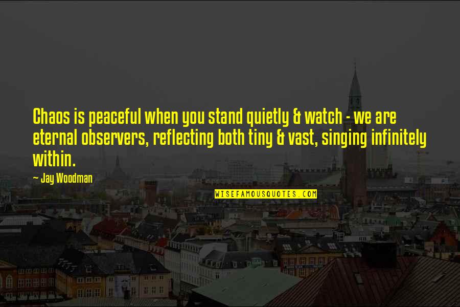 Kartar Singh Sarabha Quotes By Jay Woodman: Chaos is peaceful when you stand quietly & Kartar Singh Sarabha Quotes By Jay Woodman: Chaos is peaceful when you stand quietly &