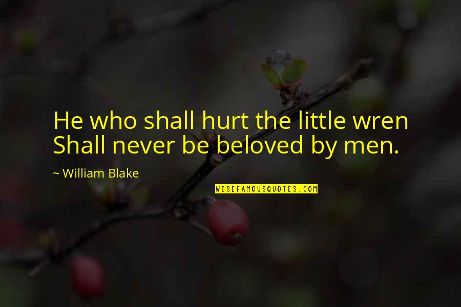 Kartik Poornima Quotes By William Blake: He who shall hurt the little wren Shall