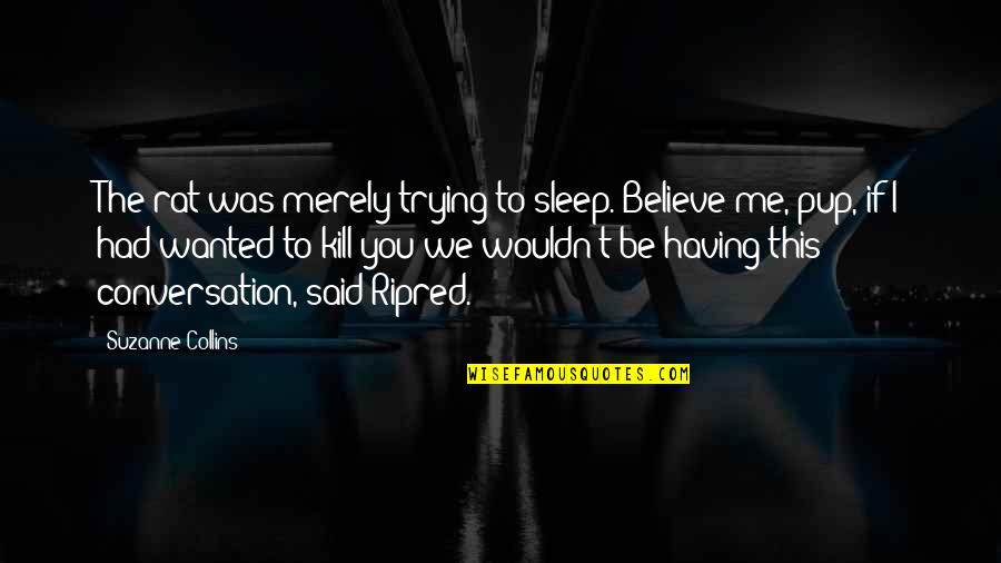 Kartmate Quotes By Suzanne Collins: The rat was merely trying to sleep. Believe