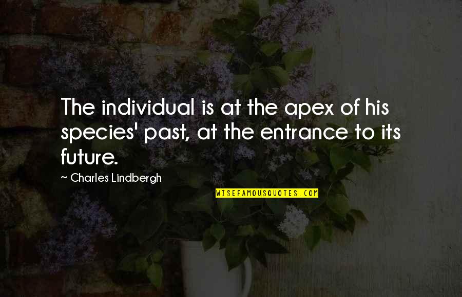 Kartush Quotes By Charles Lindbergh: The individual is at the apex of his Kartush Quotes By Charles Lindbergh: The individual is at the apex of his