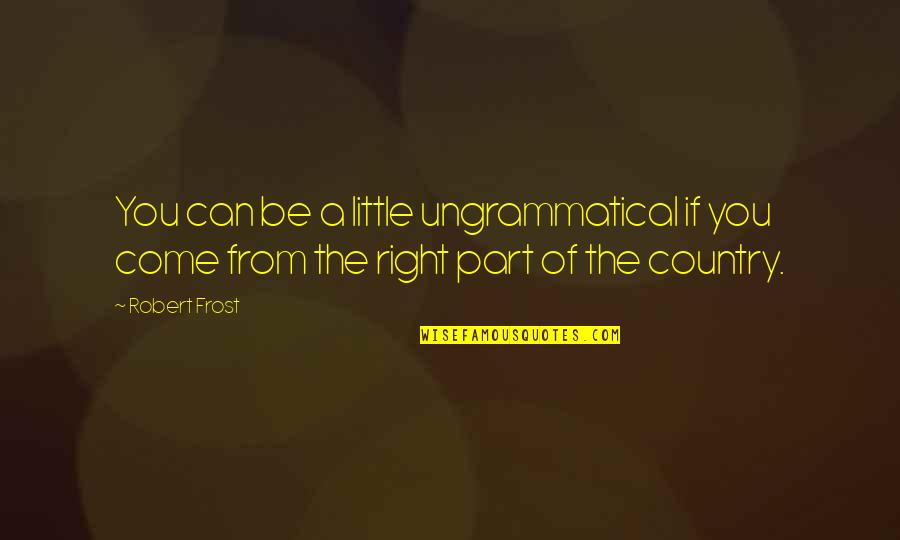 Karungi Top Quotes By Robert Frost: You can be a little ungrammatical if you