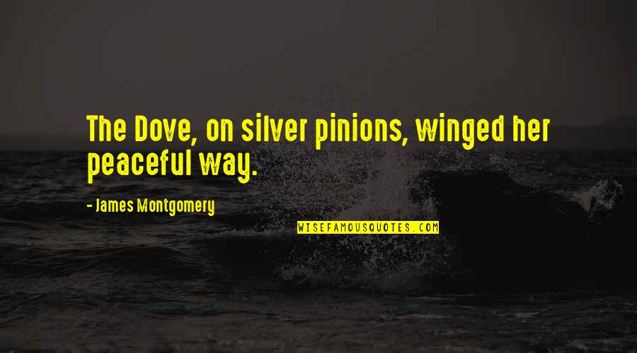 Karunia Allah Quotes By James Montgomery: The Dove, on silver pinions, winged her peaceful Karunia Allah Quotes By James Montgomery: The Dove, on silver pinions, winged her peaceful