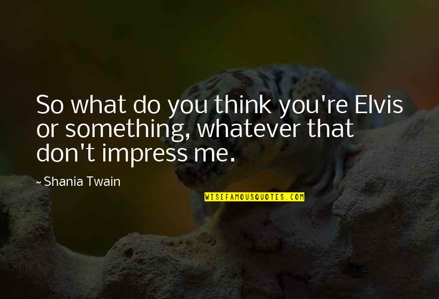 Karunia Allah Quotes By Shania Twain: So what do you think you're Elvis or