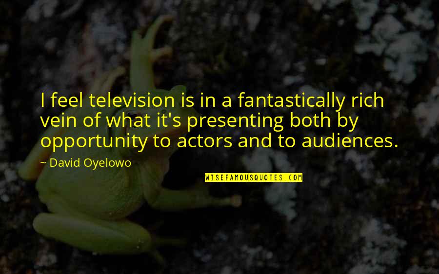 Karuppu Perazhaga Quotes By David Oyelowo: I feel television is in a fantastically rich