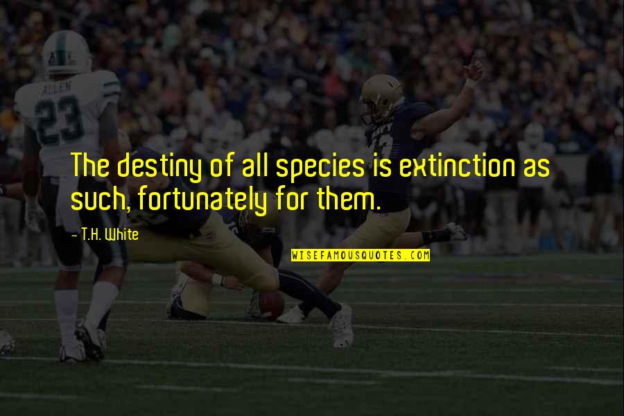 Karwan Movie Quotes By T.H. White: The destiny of all species is extinction as