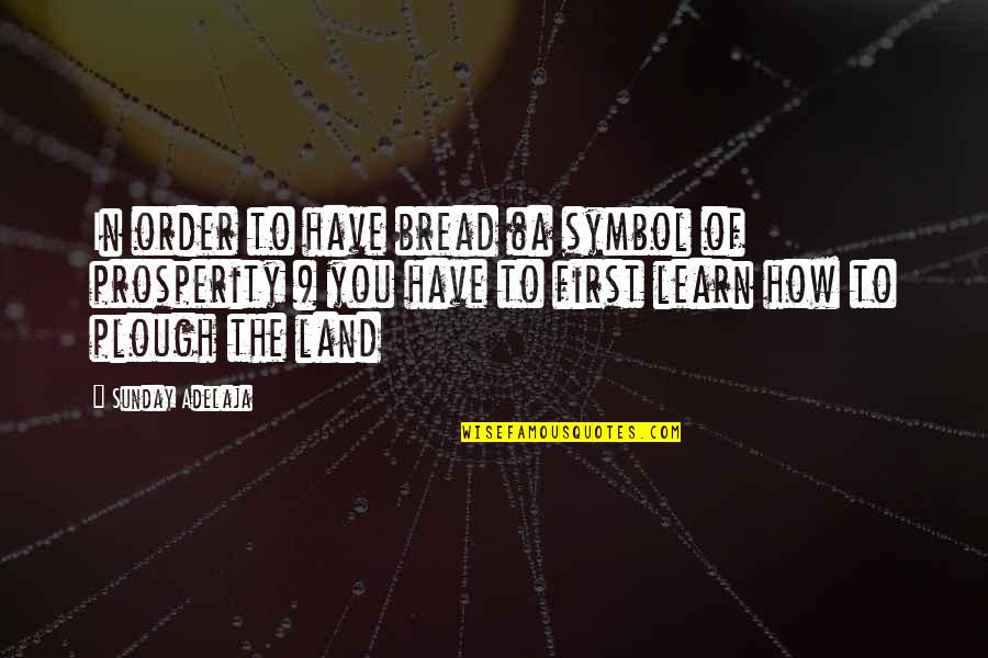 Kary Mullis Quotes By Sunday Adelaja: In order to have bread (a symbol of
