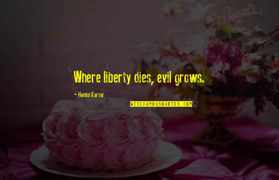 Karzai Quotes By Hamid Karzai: Where liberty dies, evil grows.