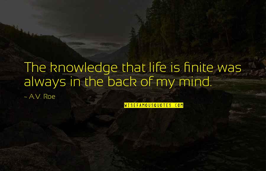 Kasamba Quotes By A.V. Roe: The knowledge that life is finite was always