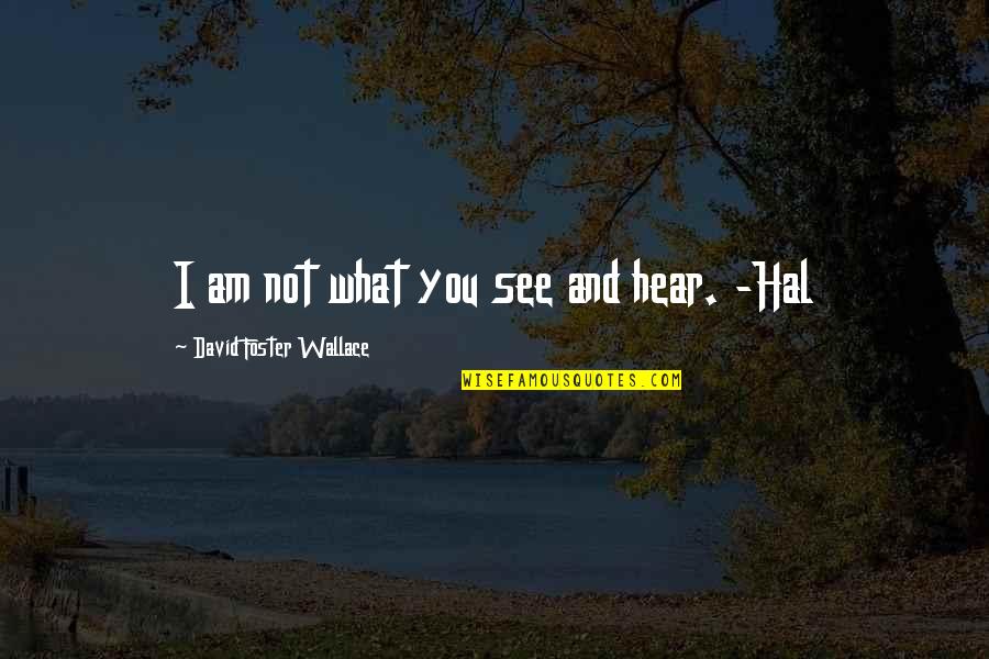 Kasarian At Seksuwalidad Quotes By David Foster Wallace: I am not what you see and hear. Kasarian At Seksuwalidad Quotes By David Foster Wallace: I am not what you see and hear.