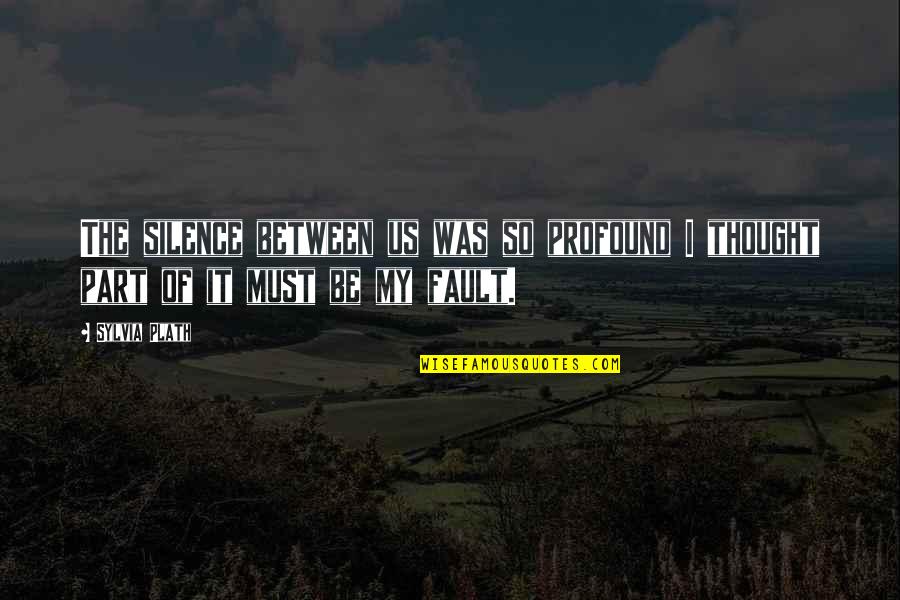 Kasemoto Quotes By Sylvia Plath: The silence between us was so profound I