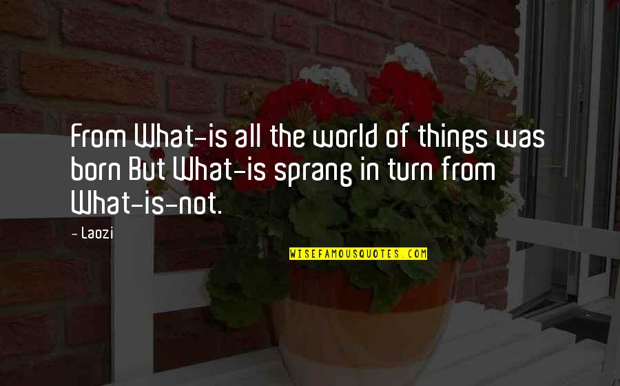 Kasimira Mosich Quotes By Laozi: From What-is all the world of things was