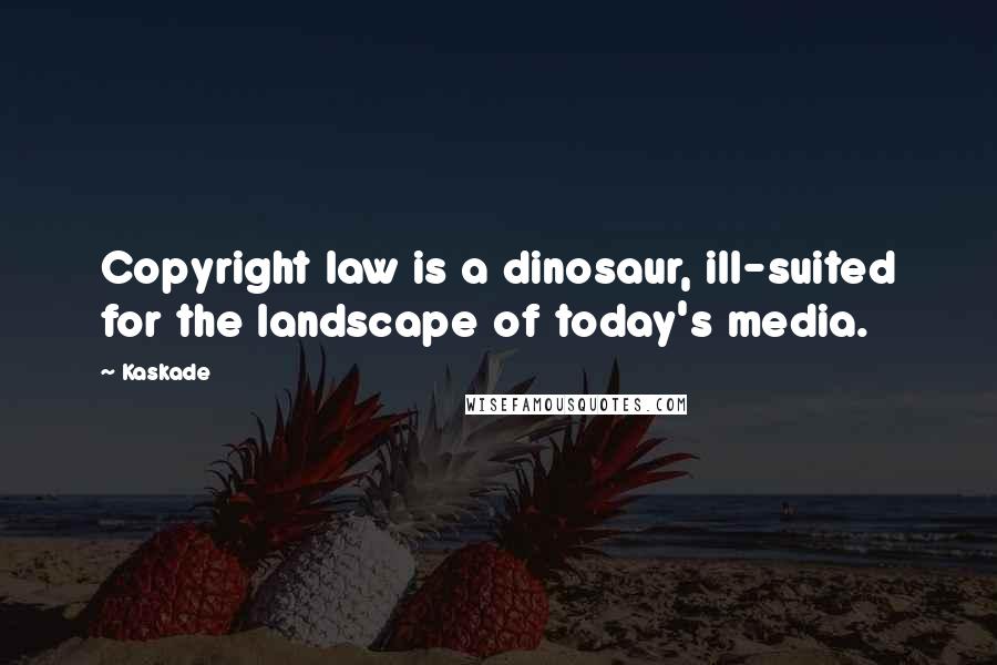 Kaskade quotes: Copyright law is a dinosaur, ill-suited for the landscape of today's media.