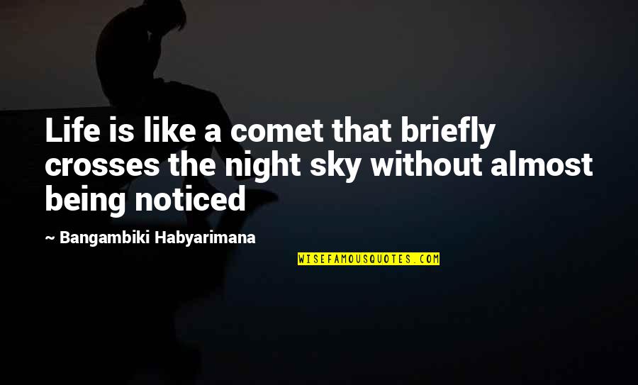 Kasselman Foundation Quotes By Bangambiki Habyarimana: Life is like a comet that briefly crosses