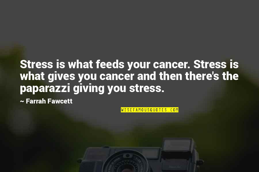 Kastinger Royal Spider Quotes By Farrah Fawcett: Stress is what feeds your cancer. Stress is
